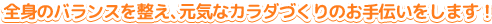 全身のバランスを整え、元気なカラダづくりのお手伝いをします!。 全身のバランスを整え、元気なカラダづくりのお手伝いをします!