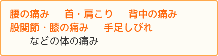 頭痛　目の疲れ　慢性的な疲労・不調　自律神経の乱れ　胃腸の不調・便秘　などの体の痛み